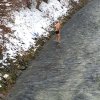 crosslauf 2016 9